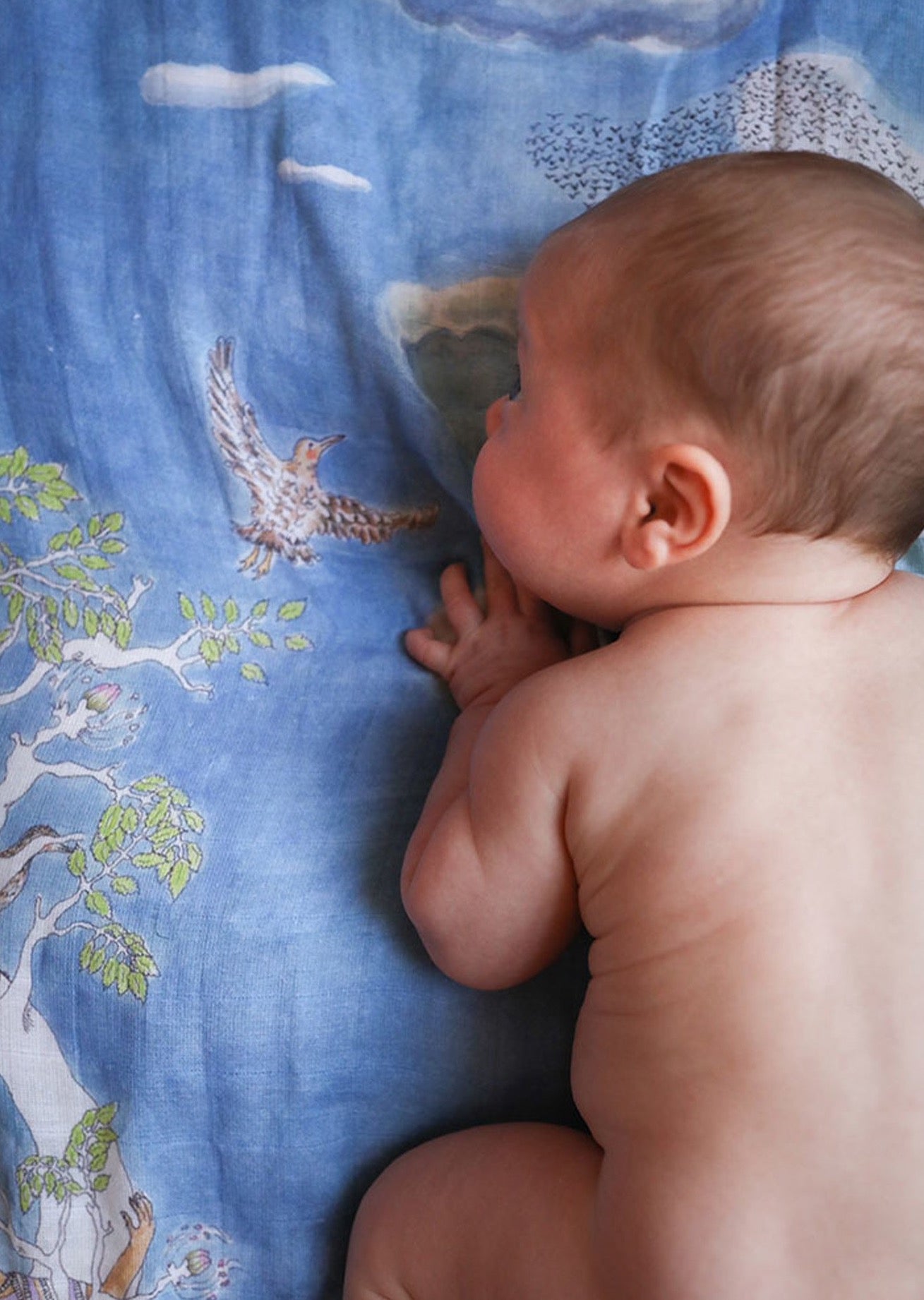 The Space Above the Ground Baby Muslin - Forivor
