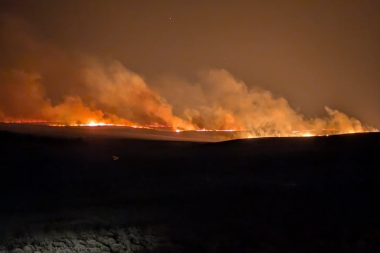 The Mountains are Burning