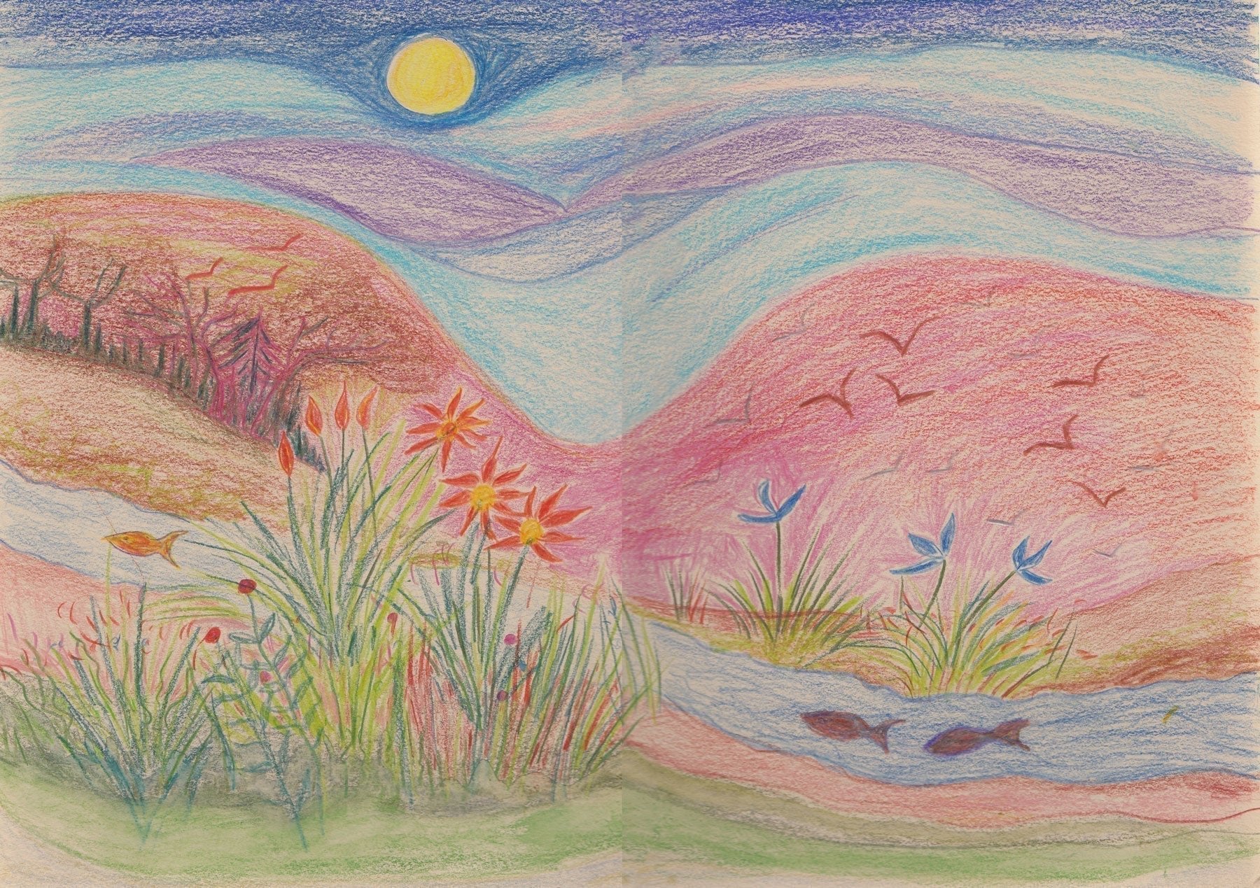 Memories of Nature competition and a dormouse encounter - Forivor