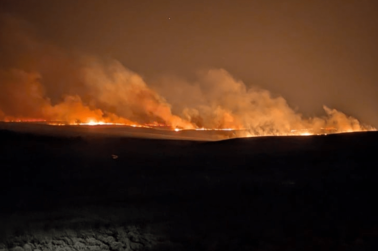 The Mountains are Burning - Forivor