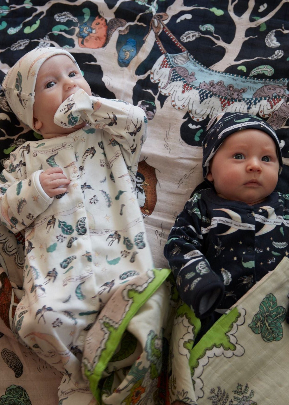 'I hope the bird of paradise flies around you always' Organic Cotton Babygrow - Forivor