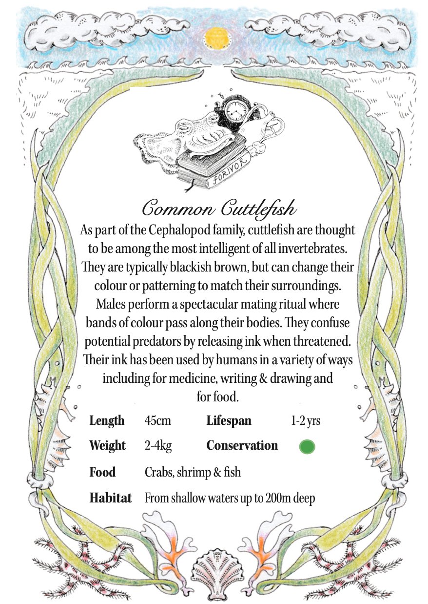 Legends of the Sea Character Cards - Forivor