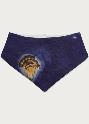 Organic Cotton Baby Neckerchief - Forivor