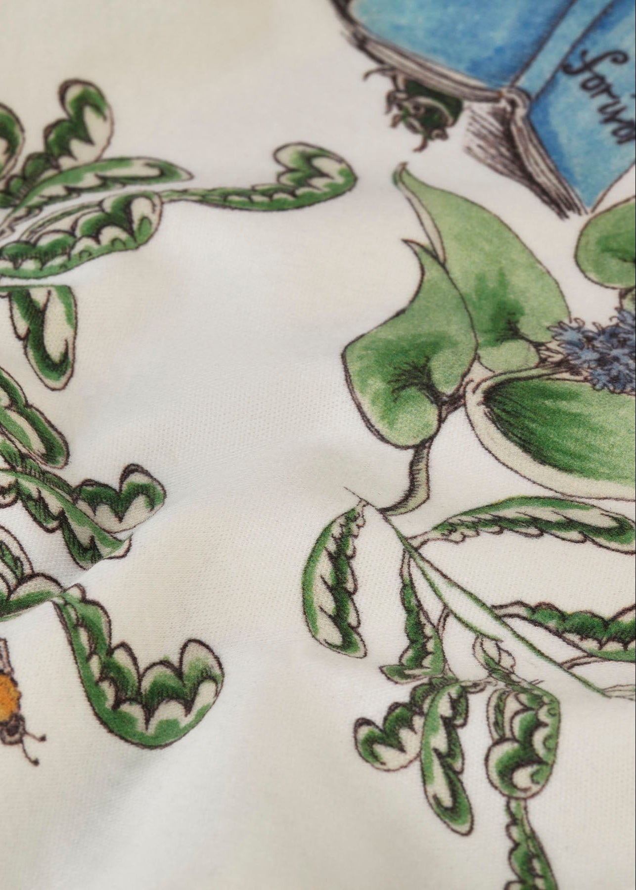 The Frog and the Book Organic Cotton Baby Hat - Forivor