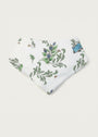 The Frog and the Book Organic Cotton Baby Neckerchief - Forivor
