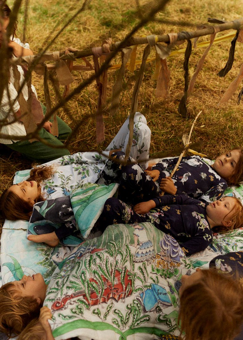 The Pond Dance Quilted Blanket - Forivor