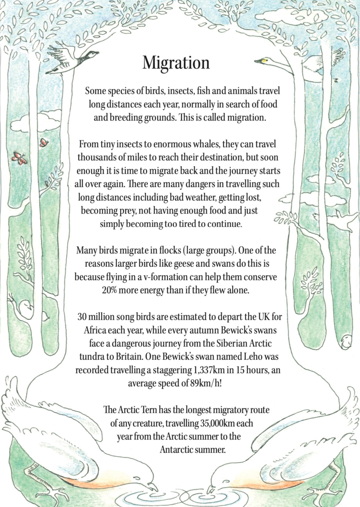 The Space Above the Ground Book - Forivor