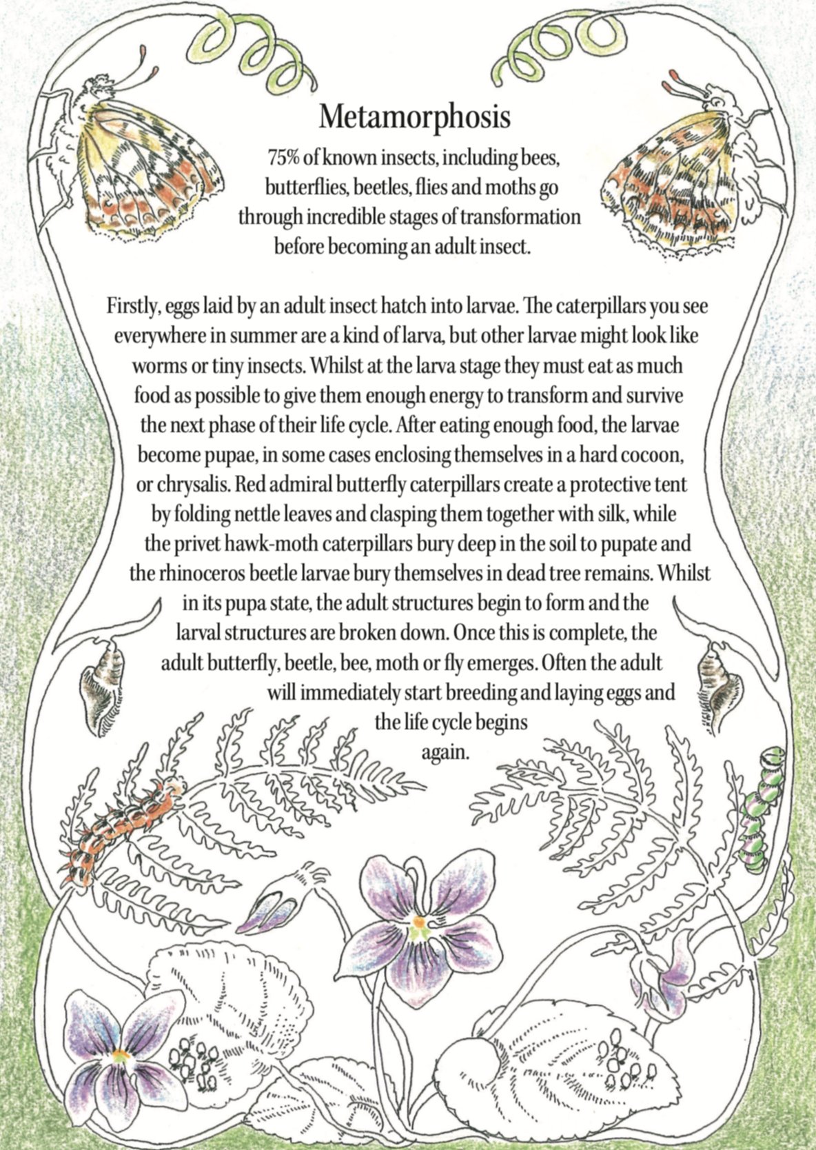 The Space Above the Ground Book - Forivor